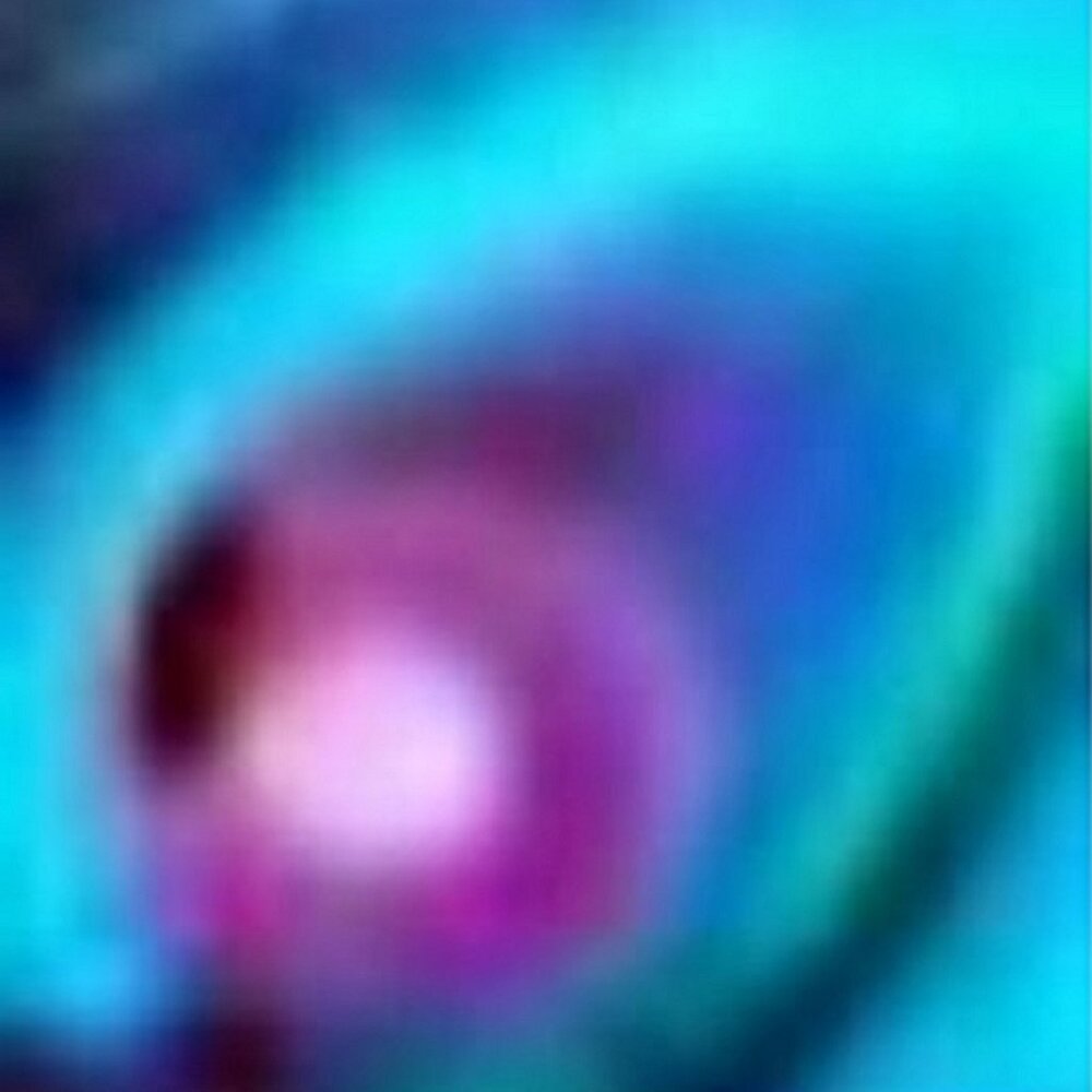 Meet your Posher, Jeffrey